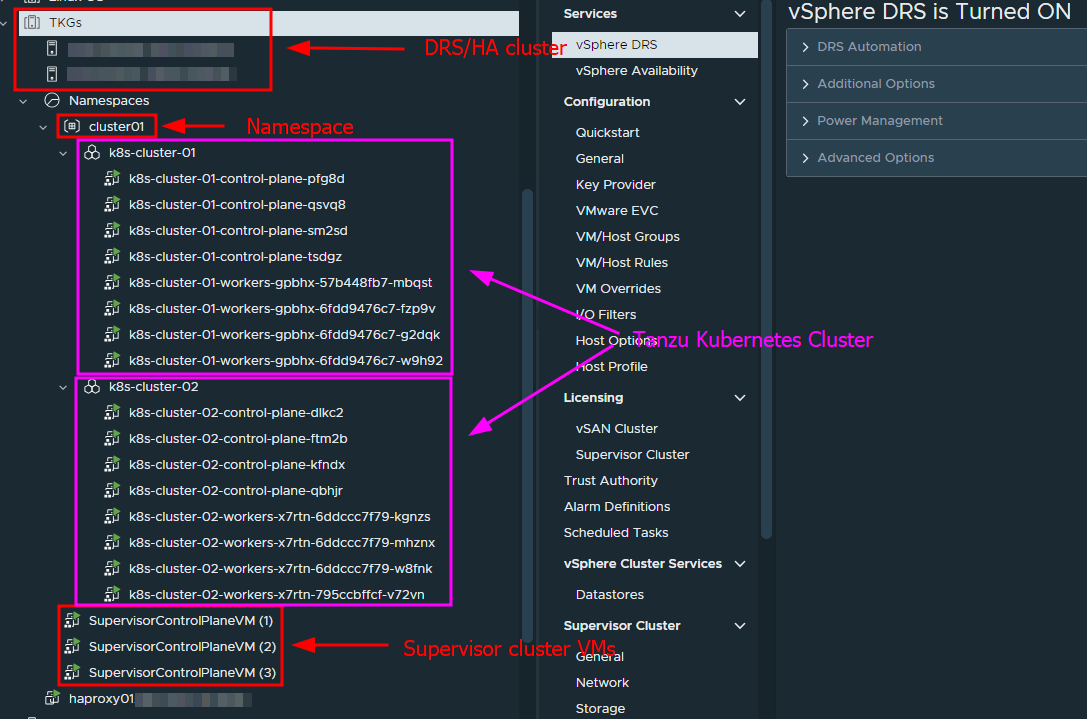 vsphere-tanzu-schemes4.png